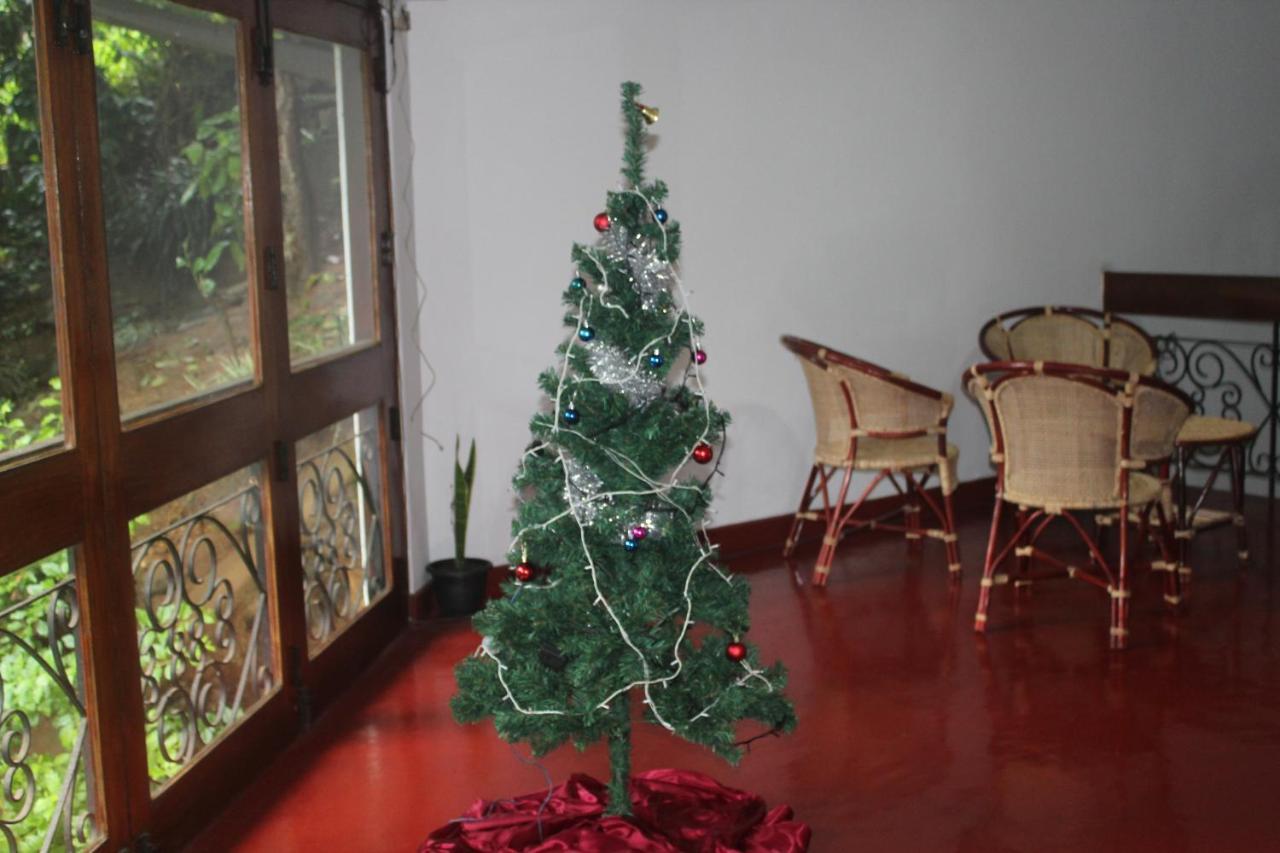 Lazy Bear Best Hostel In Канди Экстерьер фото