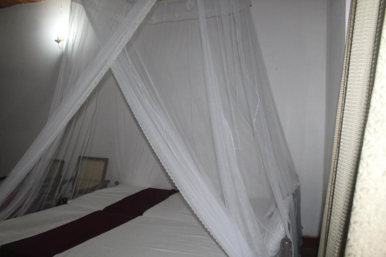 Lazy Bear Best Hostel In Канди Экстерьер фото