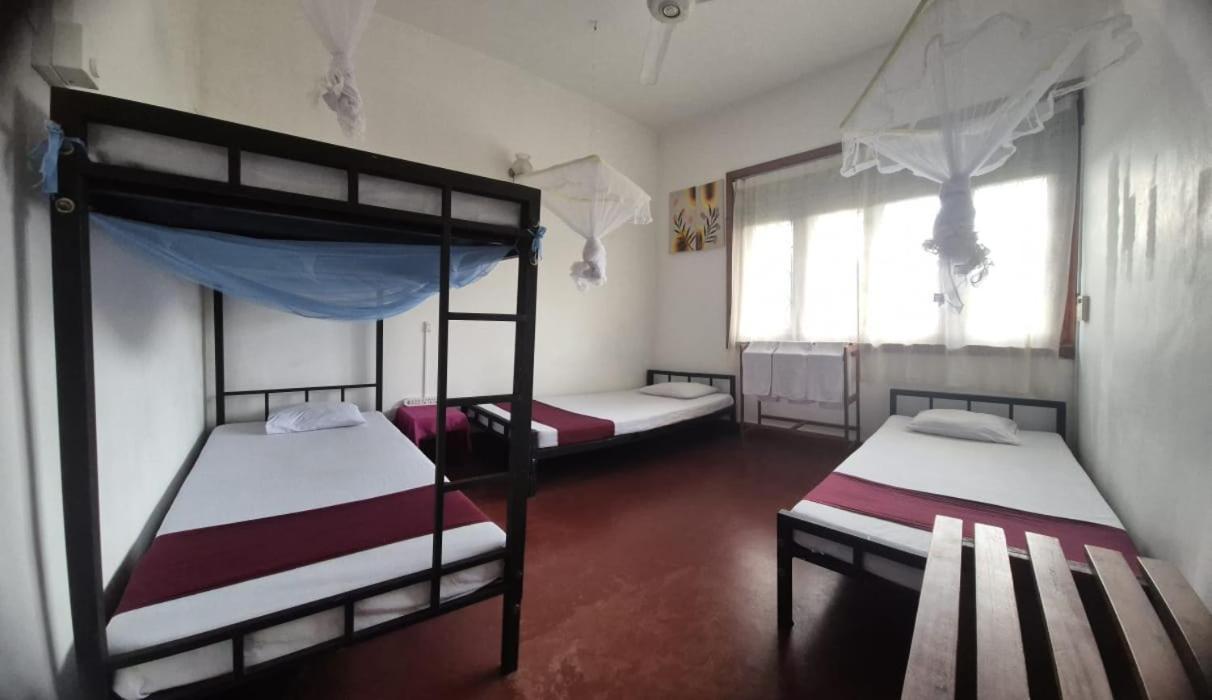 Lazy Bear Best Hostel In Канди Экстерьер фото