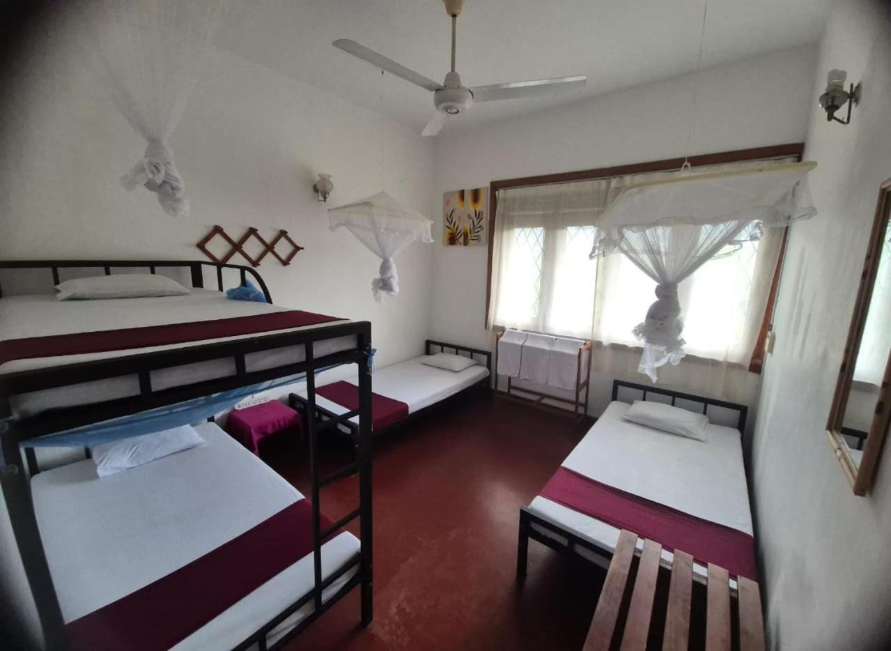 Lazy Bear Best Hostel In Канди Экстерьер фото